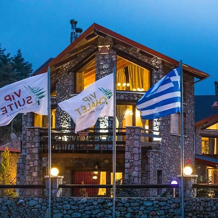 Vip Chalet 4 Seasons Arachova Extérieur photo