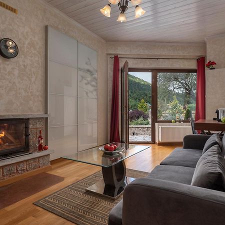 Vip Chalet 4 Seasons Arachova Extérieur photo