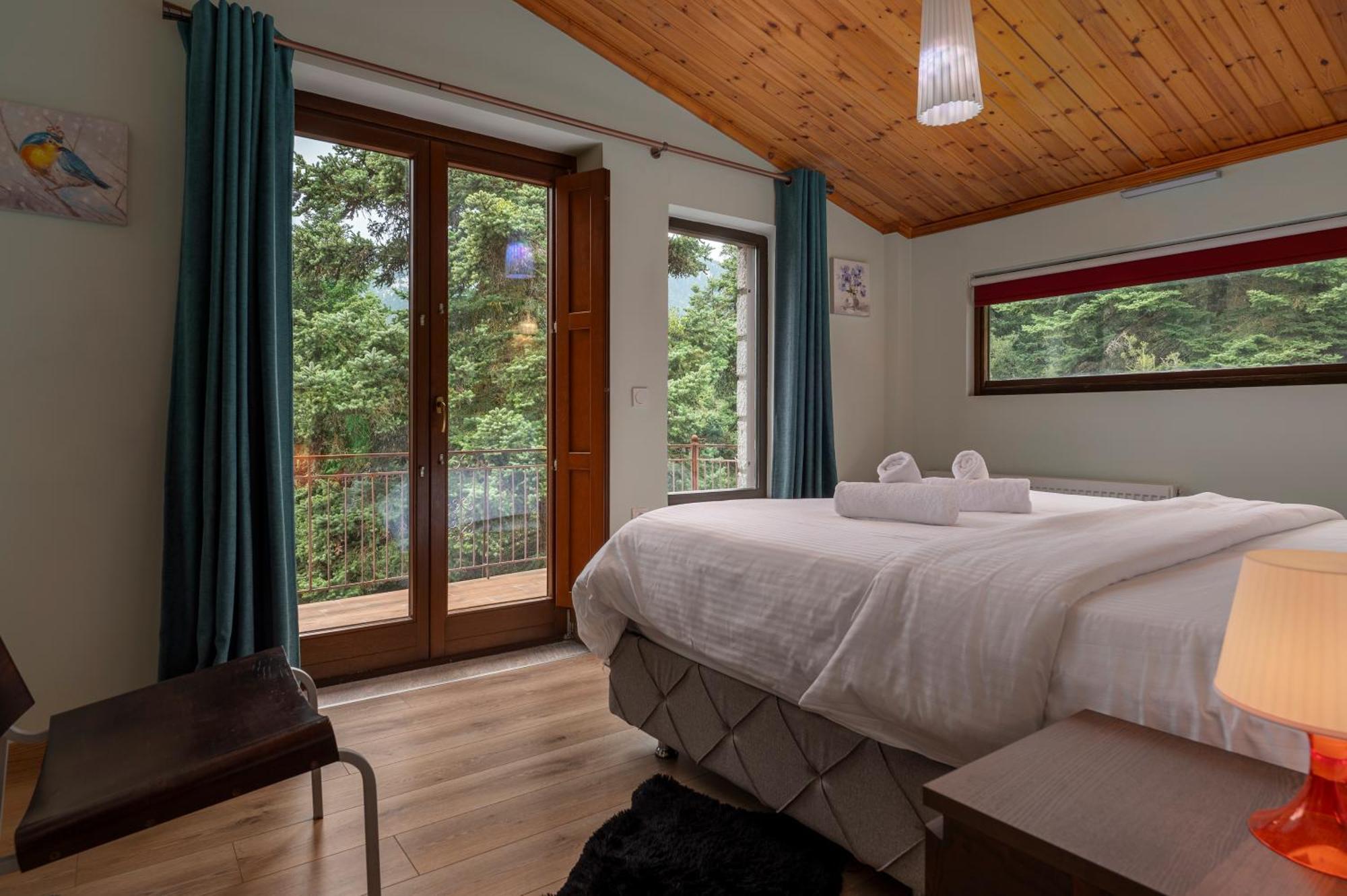 Vip Chalet 4 Seasons Arachova Extérieur photo