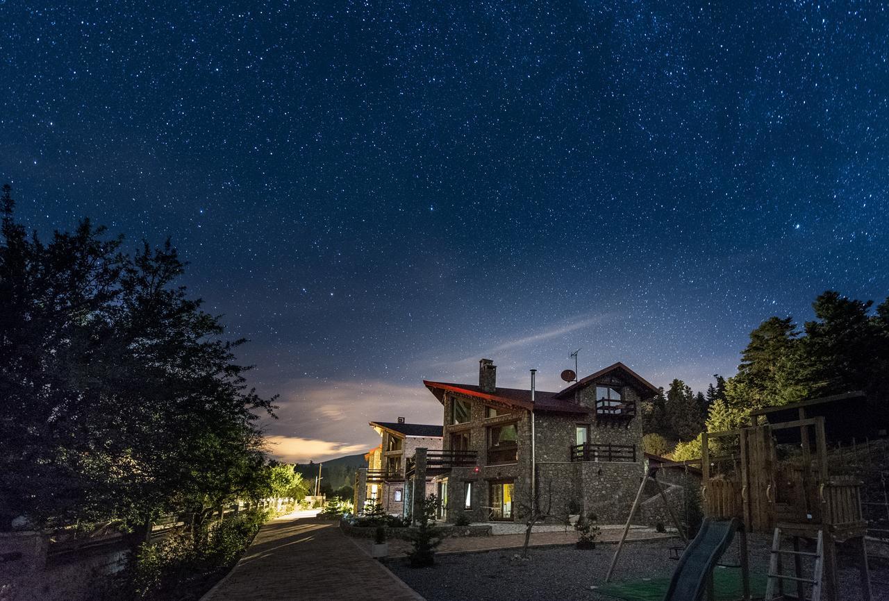 Vip Chalet 4 Seasons Arachova Extérieur photo